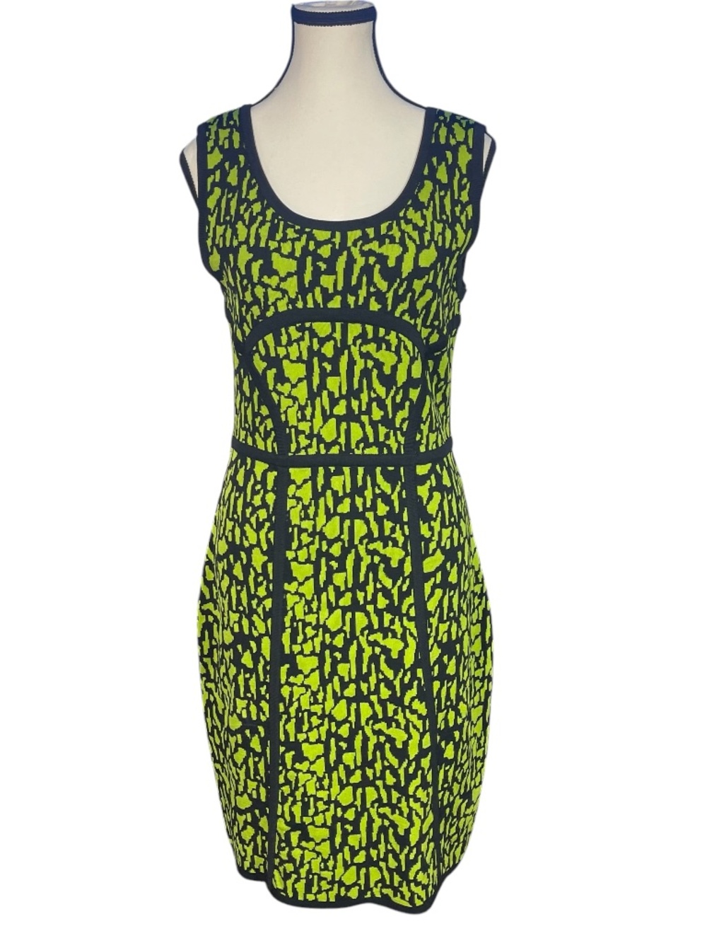 Carmen Marc Valvo Dress